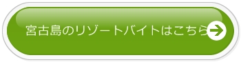 ̃][goCg͂